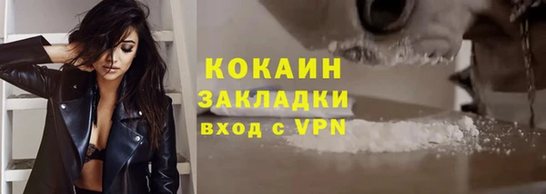 шишки Нестеровская