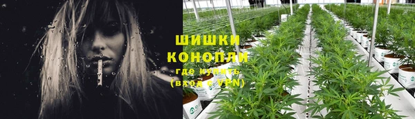 шишки Нестеровская
